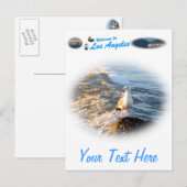 Carte Postale Mouette (Devant / Derrière)