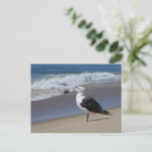 Carte Postale Mouette (Debout devant)