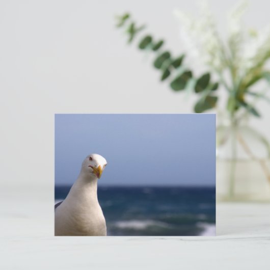 Carte Postale Mouette (Debout devant)