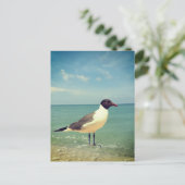 Carte Postale Mouette (Debout devant)