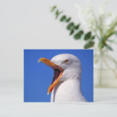 Carte Postale Mouette (Debout devant)