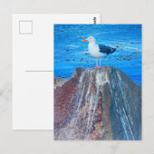 Carte Postale Mouette (Devant / Derrière)