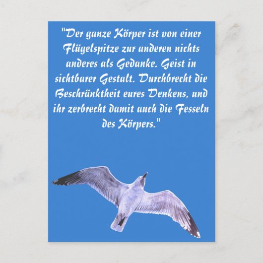 Carte Postale Mouette (Devant)