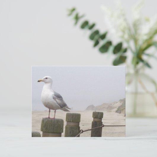 Carte Postale Mouette (Debout devant)