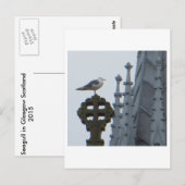 Carte Postale Mouette à Glasgow (Devant / Derrière)