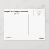 Carte Postale Mouette à Glasgow (Dos)