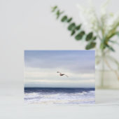 Carte Postale Mouette au-dessus des vagues (Debout devant)