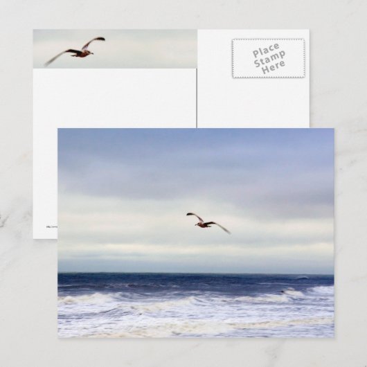 Carte Postale Mouette au-dessus des vagues (Devant / Derrière)