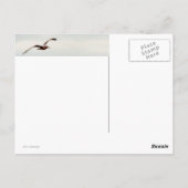 Carte Postale Mouette au-dessus des vagues (Dos)