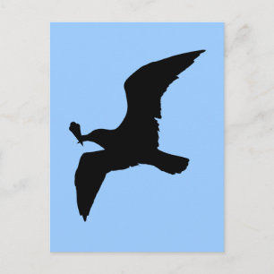 Carte Postale Mouette Avec Icecream