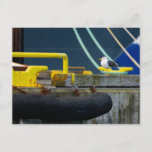 Carte Postale Mouette dans un environnement abstrait