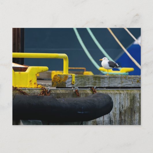 Carte Postale Mouette dans un environnement abstrait (Devant)