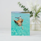 Carte Postale Mouette et cochon (Debout devant)