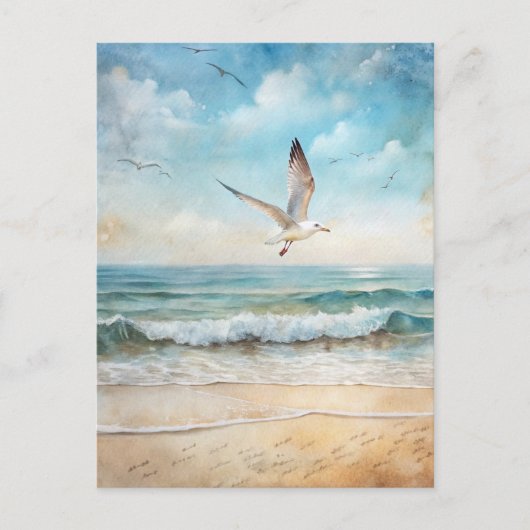Carte Postale Mouette oiseau marin plage côtière (Devant)