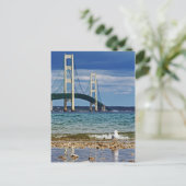 Carte Postale Mouette par le pont Mackinac (Debout devant)