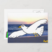 Carte Postale Mouette sur la baie (Devant / Derrière)