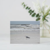 Carte Postale Mouette sur la plage (Debout devant)
