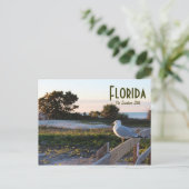 Carte Postale Mouette sur l'île de lune de miel de l'État Sunshi (Debout devant)