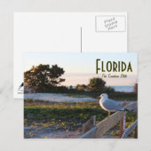 Carte Postale Mouette sur l'île de lune de miel de l'État Sunshi (Devant / Derrière)