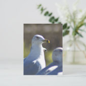 Carte Postale Mouette sur rail (Debout devant)