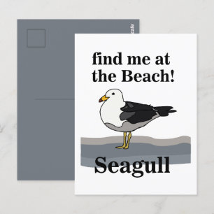 Carte Postale Mouette Trouvez-Moi À La Plage Oiseau Drôle