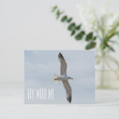 Carte Postale Mouette volant (Debout devant)