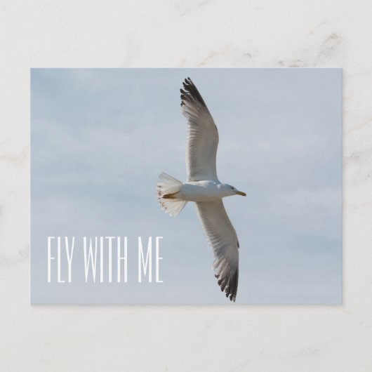 Carte Postale Mouette volant (Devant)