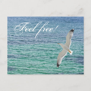 Carte Postale Mouette volant au-dessus d'une mer