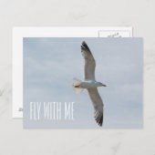 Carte Postale Mouette volante (Devant / Derrière)