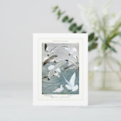 Carte Postale Mouettes (Debout devant)