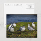 Carte Postale Mouettes (Devant / Derrière)