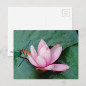 Carte Postale Mouettes bleues sur une fleur de lotus rose (Devant / Derrière)