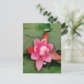 Carte Postale Mouettes bleues sur une fleur de lotus rose (Debout devant)