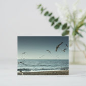 Carte Postale Mouettes Brighton (Debout devant)