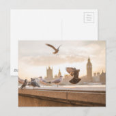 Carte Postale Mouettes de Londres (Devant / Derrière)