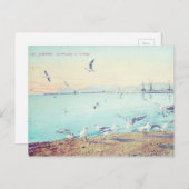 Carte Postale Mouettes de plage de Cannes (Devant / Derrière)