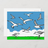 Carte Postale Mouettes en vol (Devant / Derrière)