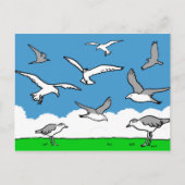 Carte Postale Mouettes en vol (Devant)