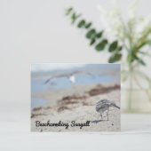 Carte Postale Mouettes fouillant la plage (Debout devant)