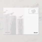 Carte Postale Mouettes Parquées (Dos)