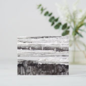 Carte Postale Mouettes Sur Glace (Debout devant)