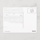 Carte Postale Mouettes Sur Glace (Dos)
