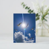 Carte Postale Mouettes volantes Ciel nuages Soleil (Debout devant)