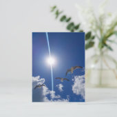 Carte Postale Mouettes volantes Ciel nuages Soleil (Debout devant)