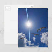 Carte Postale Mouettes volantes Ciel nuages Soleil (Devant / Derrière)