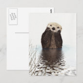 Carte Postale Moufle de Fluffy adorable mignonne animal (Devant / Derrière)