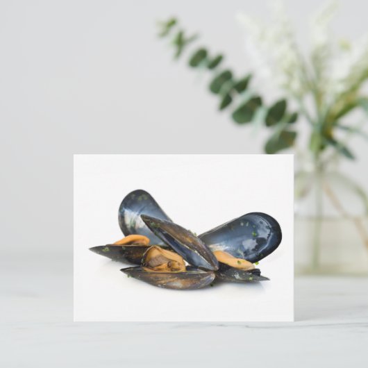 Carte Postale moules cuites sur blanc (Debout devant)