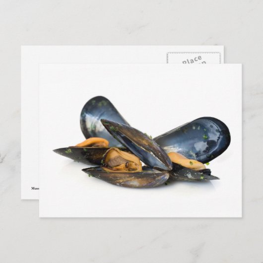 Carte Postale moules cuites sur blanc (Devant / Derrière)
