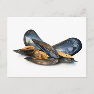 Carte Postale moules cuites sur blanc