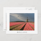 Carte Postale Moulin à vent avec tulipe rose au printemps (Devant / Derrière)